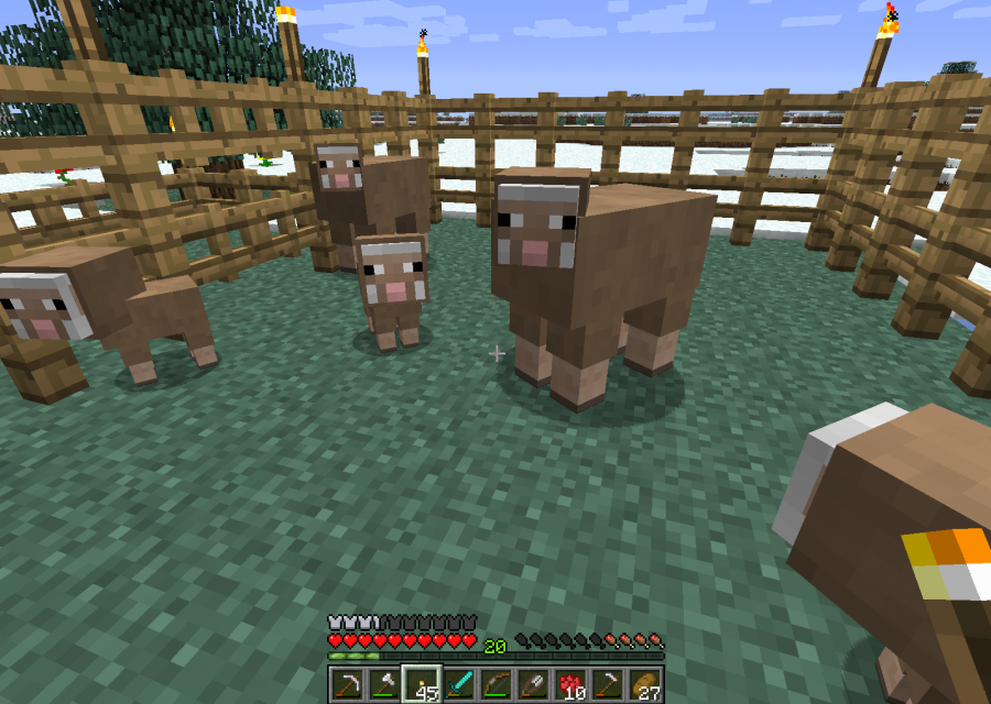 Minecraft Tiere: Schafe